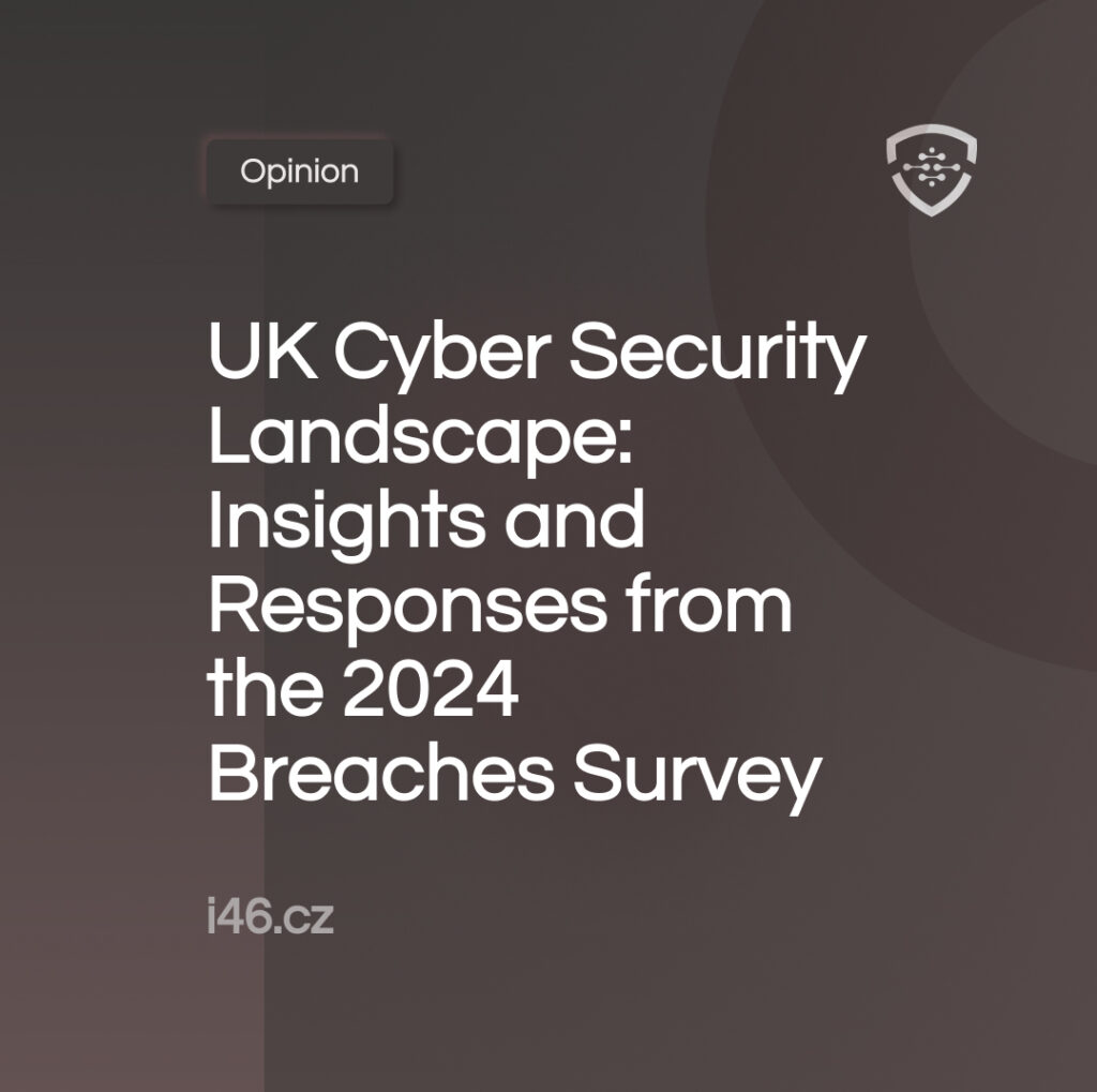 UK Cyber Security Landscape: Insights and Responses from the 2024 Breaches Survey